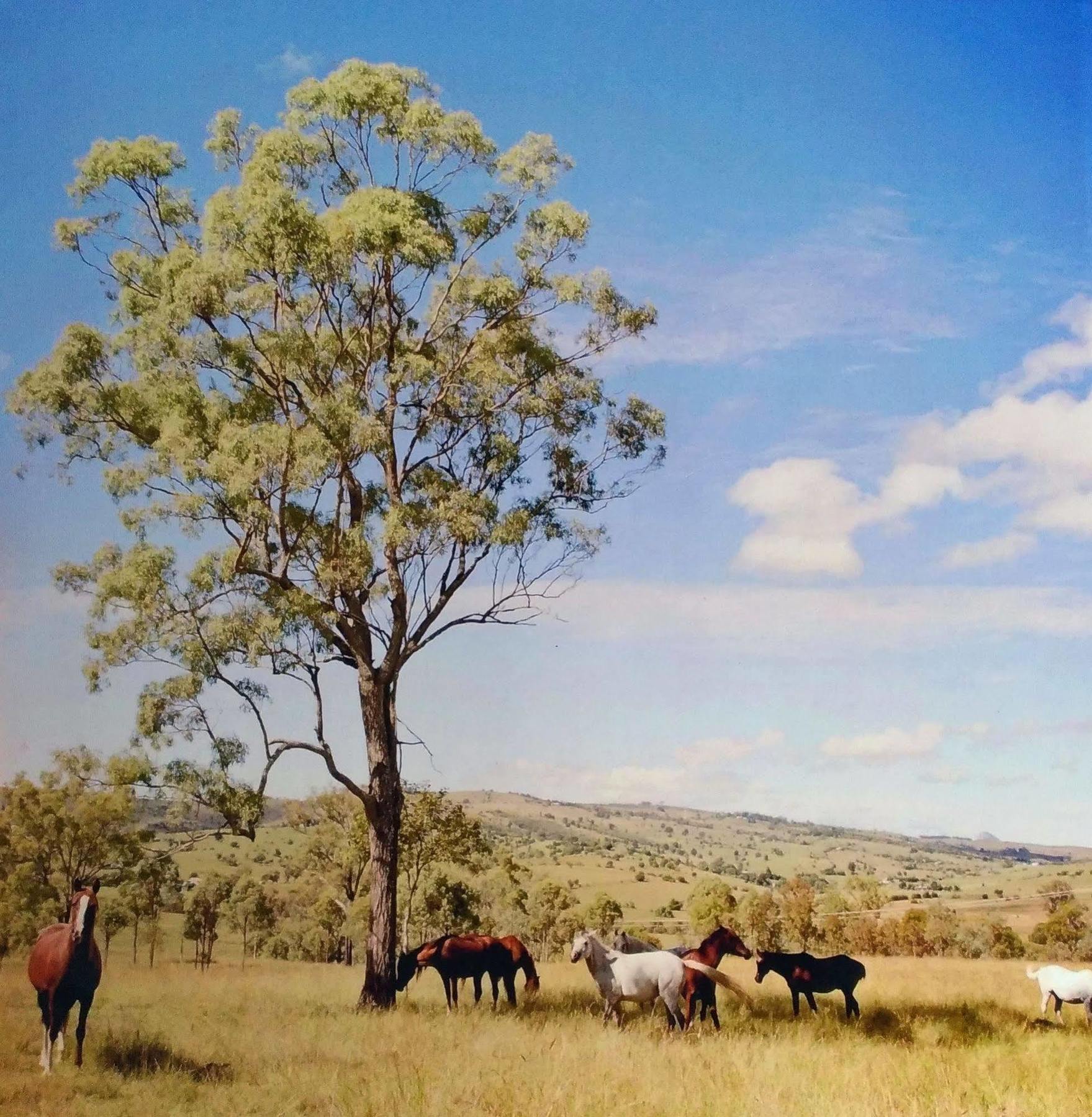 Boonah Valley Motel Exteriör bild
