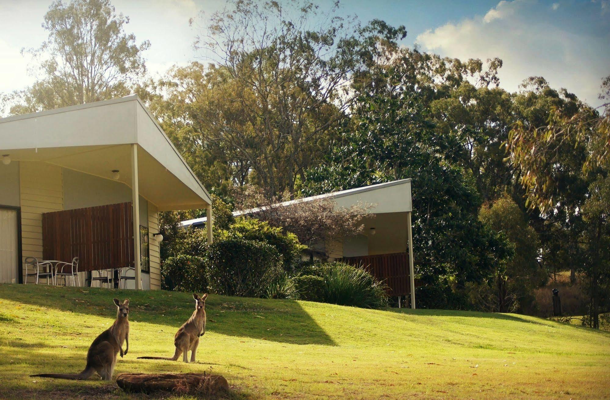 Boonah Valley Motel Exteriör bild